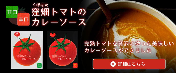 窪畑トマトのカレーソース